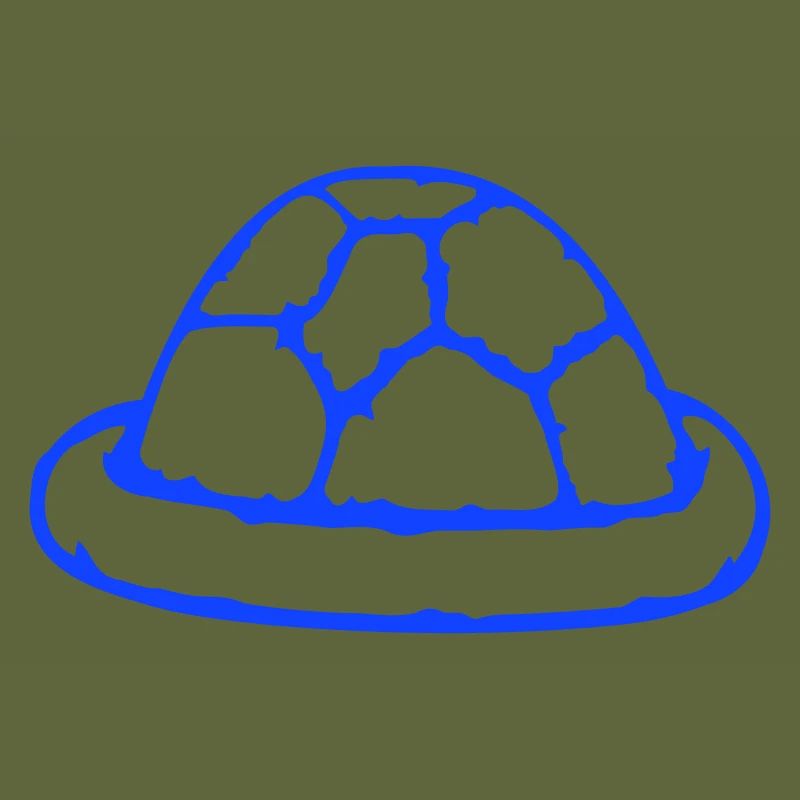 Turtle shell without turtle cute shell