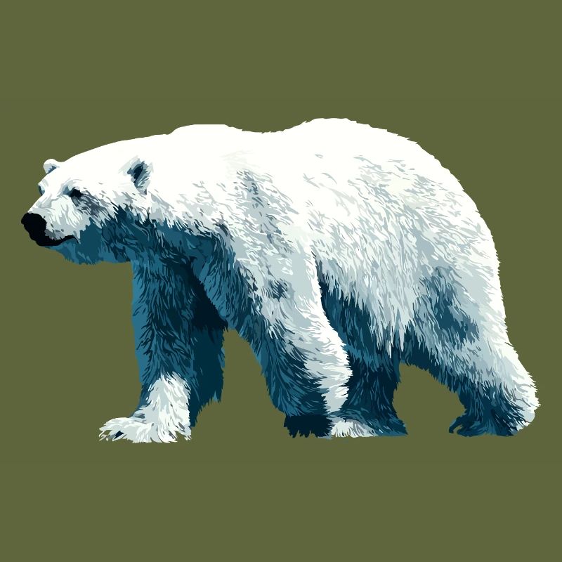 Polar Bär Eisbär