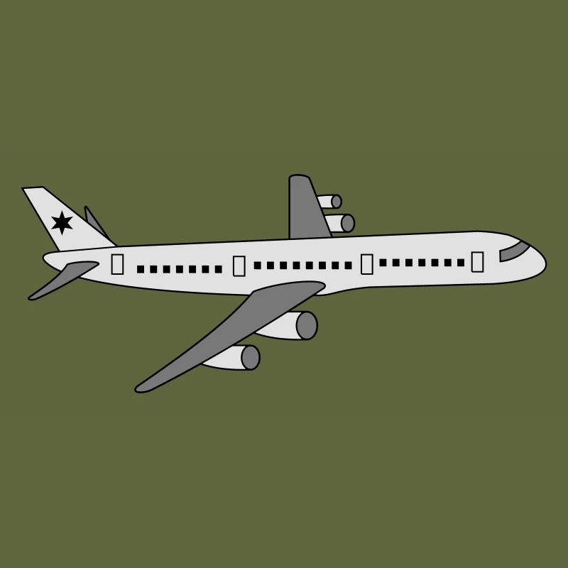 Flugzeug