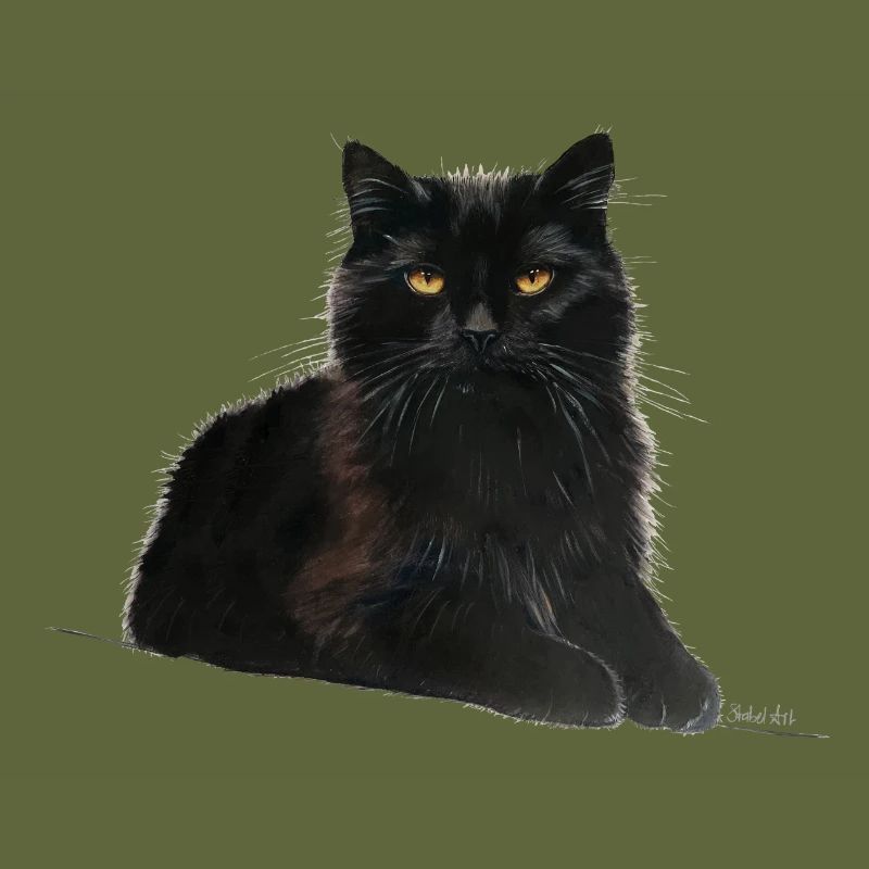 Katze