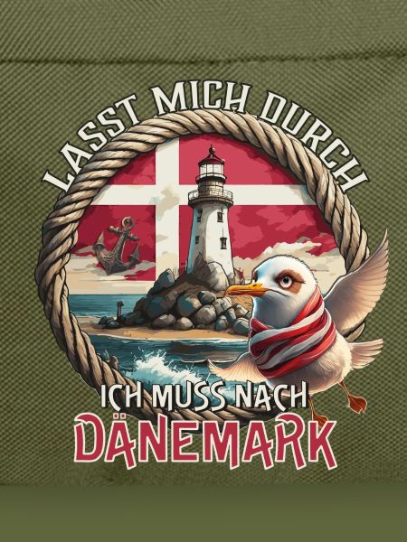 Dänemark - lasst mich durch - Möwe - Leuchtturm