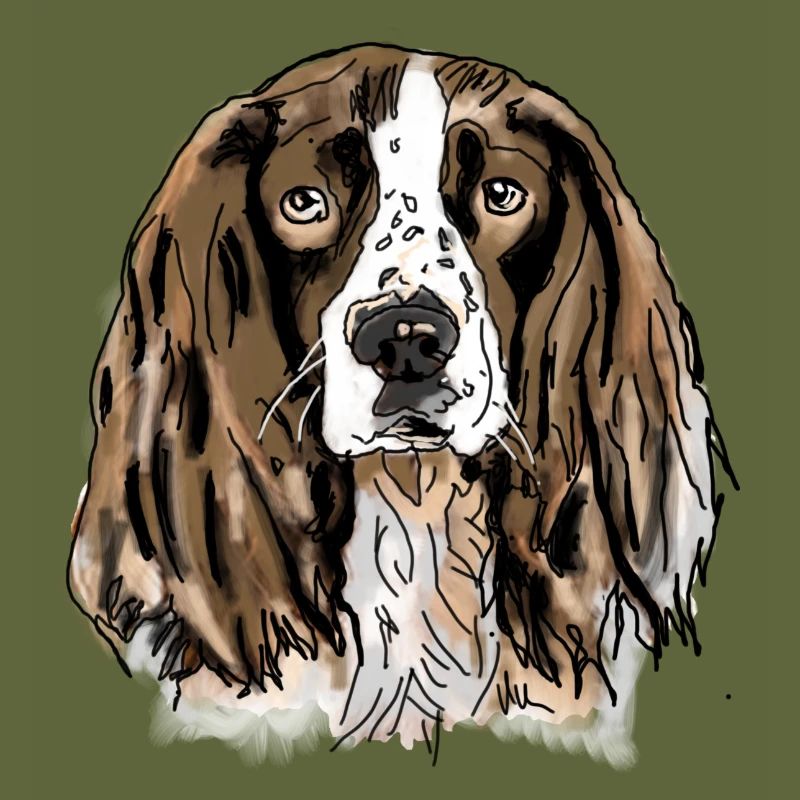 Spaniel