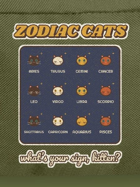 Zodiac-Katzen Alle 12-Sterne-Zeichen