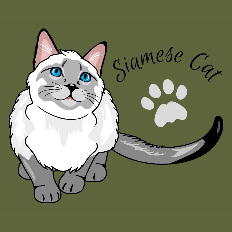 Curious Siamese cat