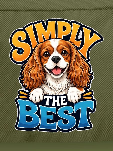 Kavallerier King Charles Spaniel