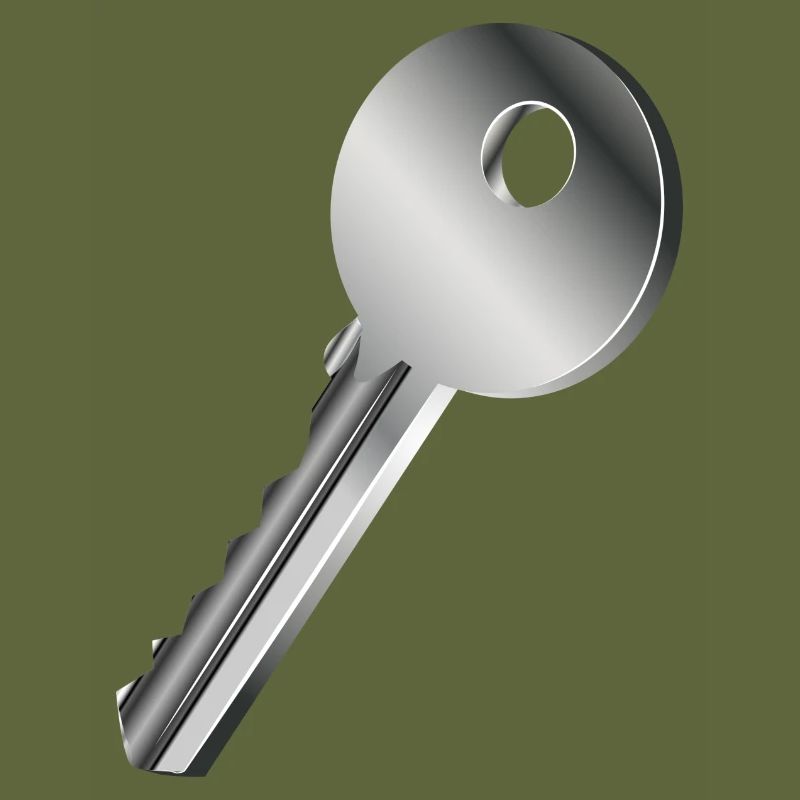 clé unique de couleur argent