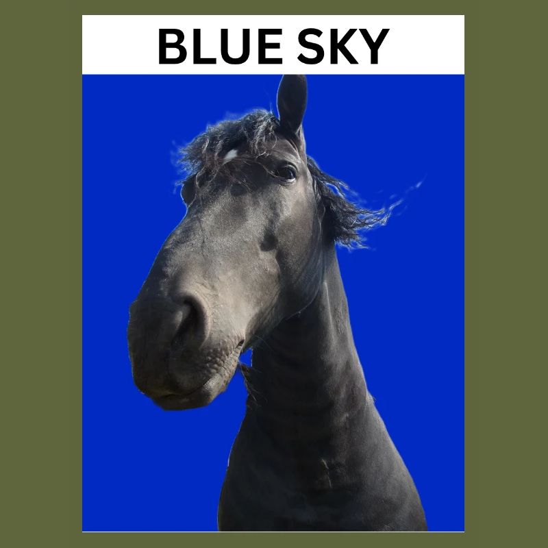 Ciel bleu et cheval