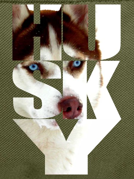 Husky Kupfer rot Kopf im Text