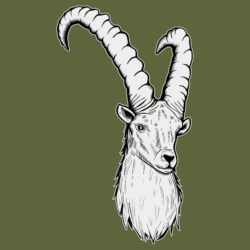 Steinbock Sternzeichen