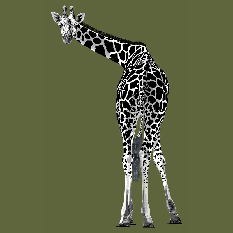 Giraffe greets friendly