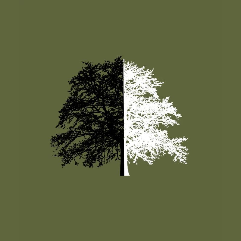 Tree Tree Black White Illusion