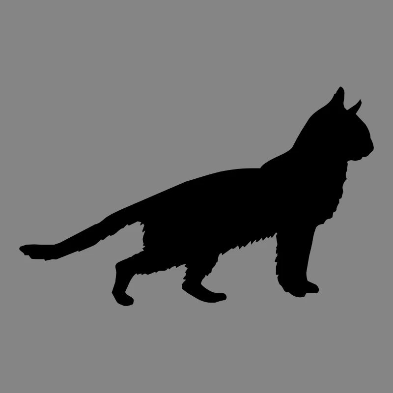 katze