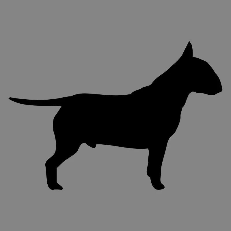 Hund