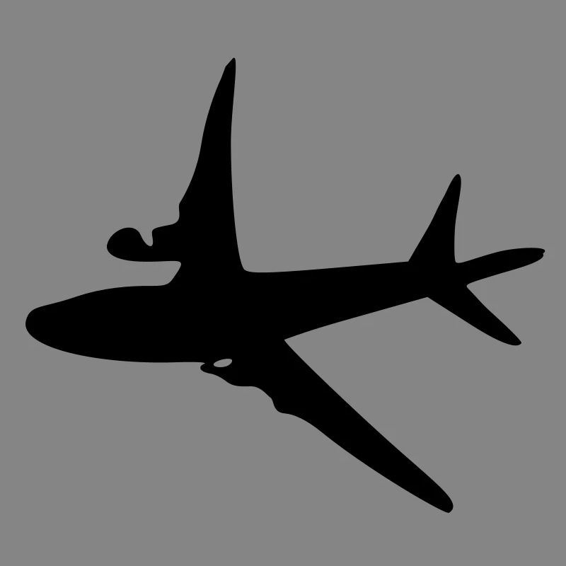 Flugzeug -6