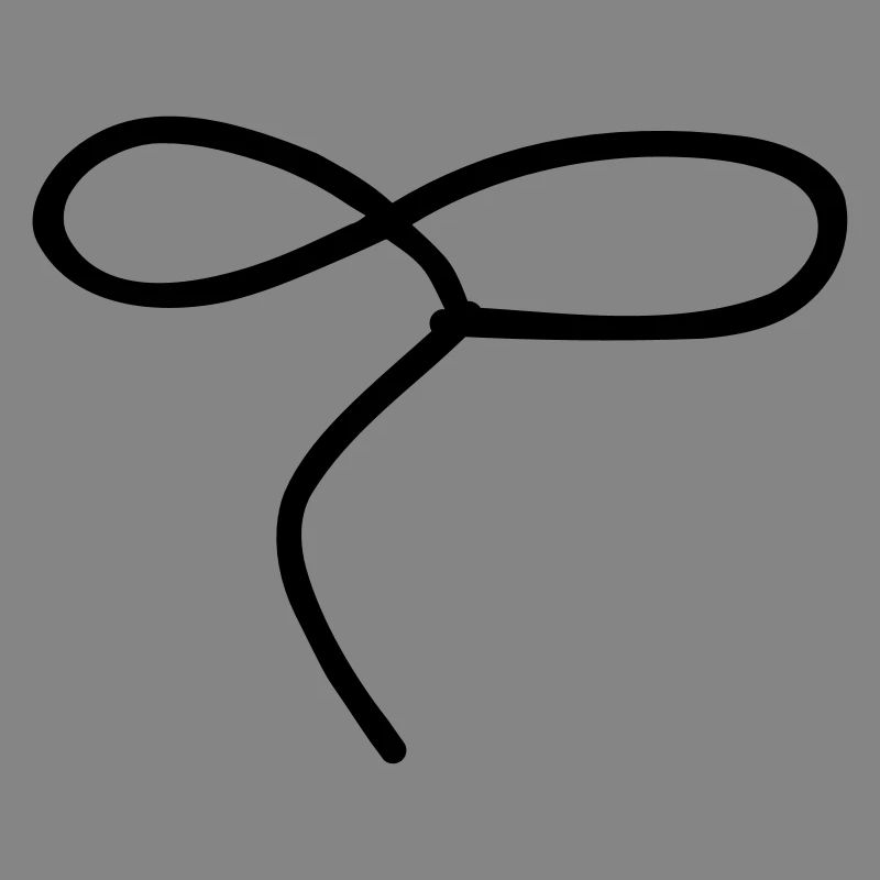 Lasso