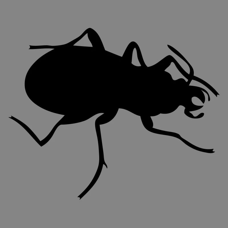 Bug