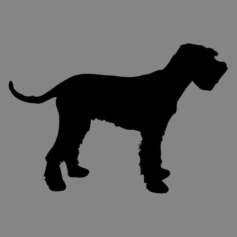 schnauzer géant