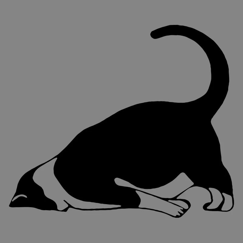 Chat endormi