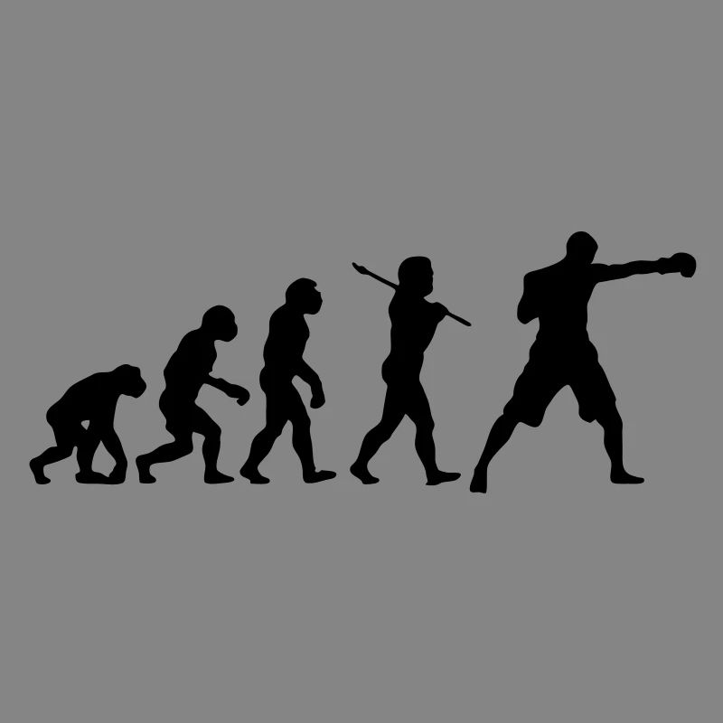 Boxing Evolution