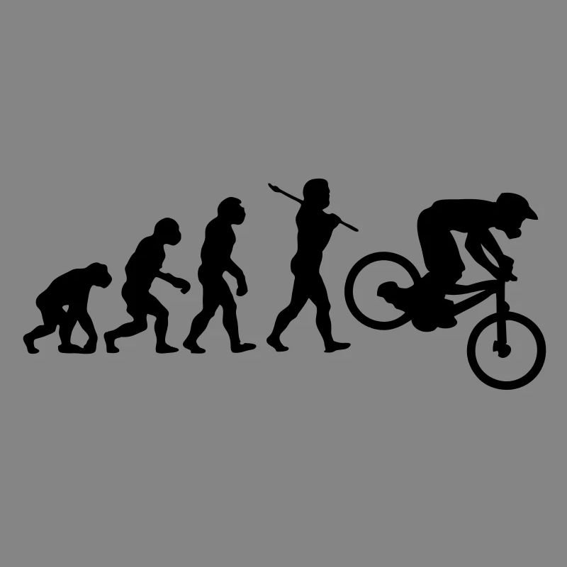 NEW MTB DOWNHILL MOUNTAIN BIKE EVOLUTION
