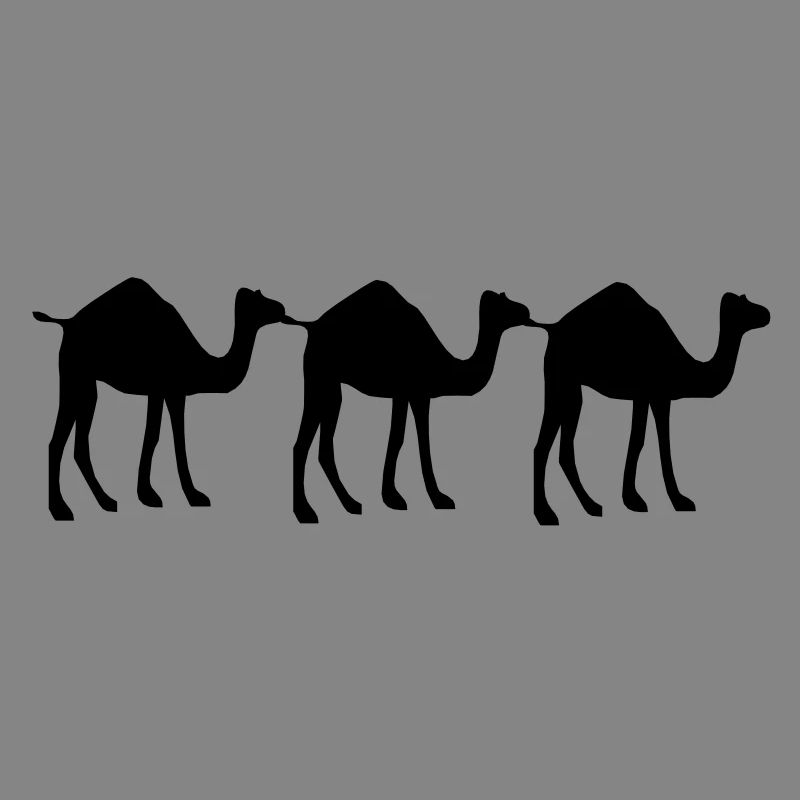 3 Kamel