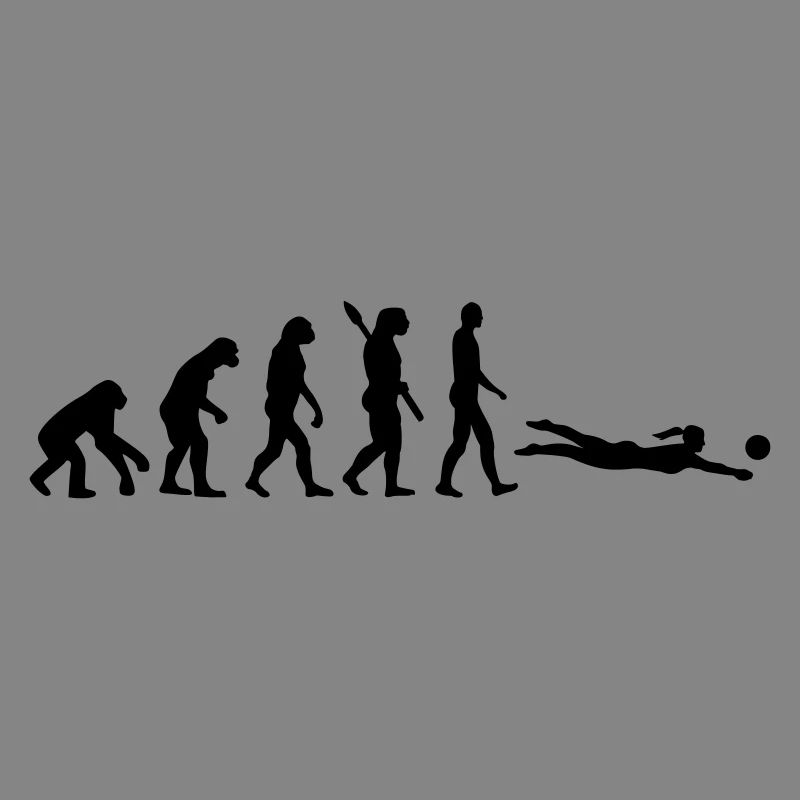 Évolution Beach volley