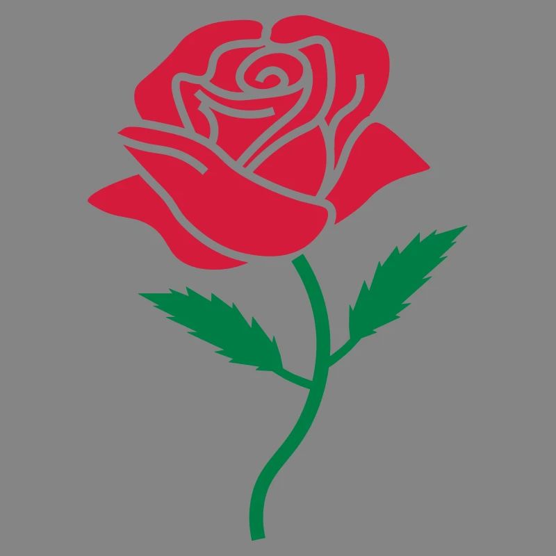 couleur rose