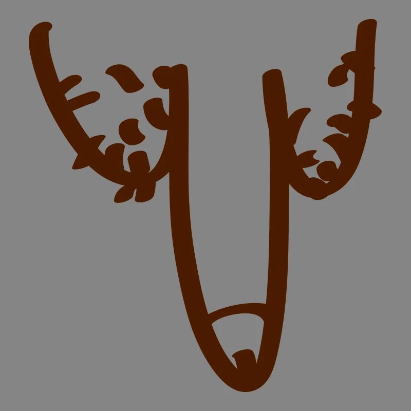 penis