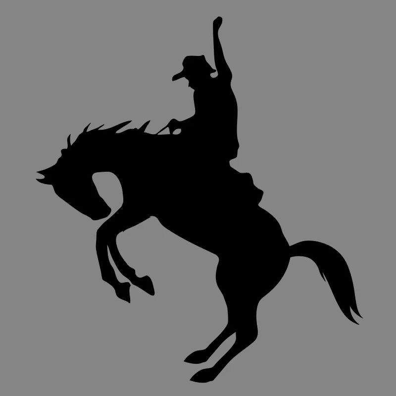 Rodeo de
