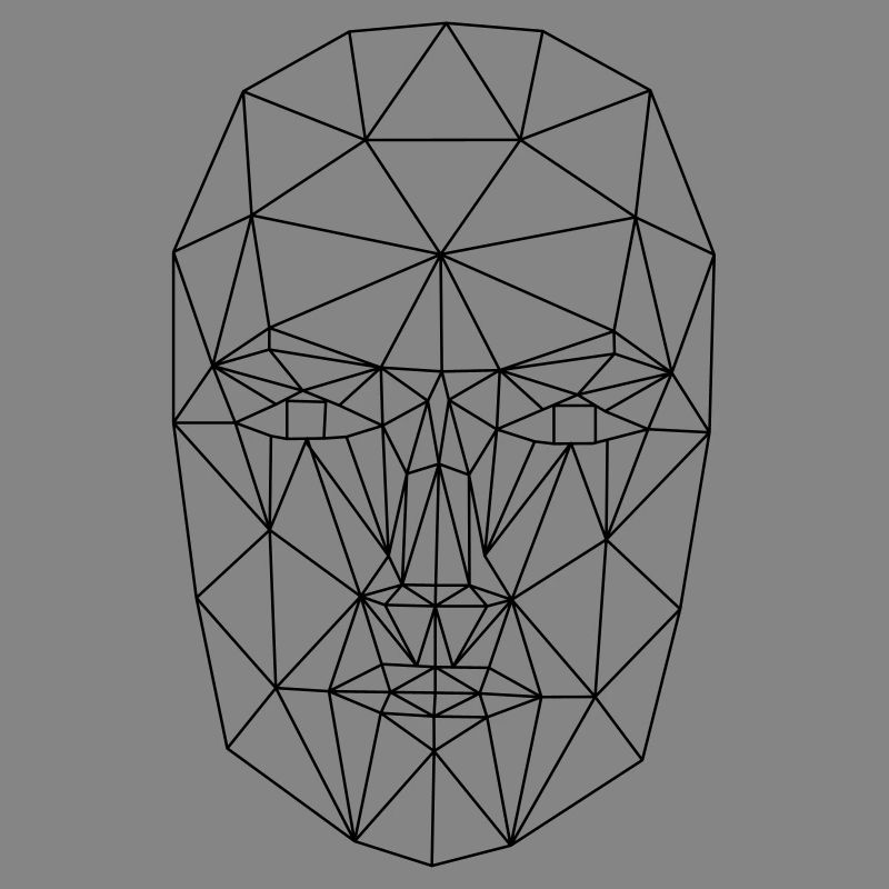 Face abstract wireframe