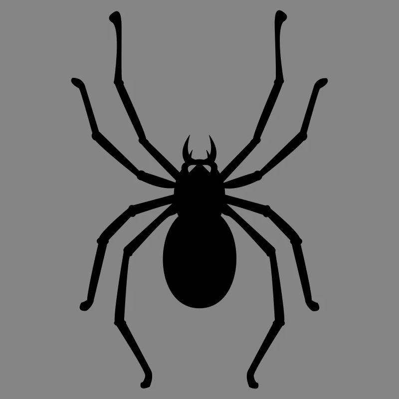 araignee