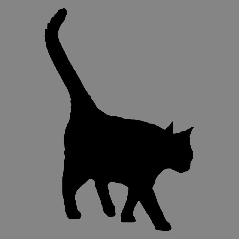 le chat noir