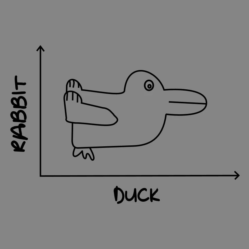 Duck'n Rabbit