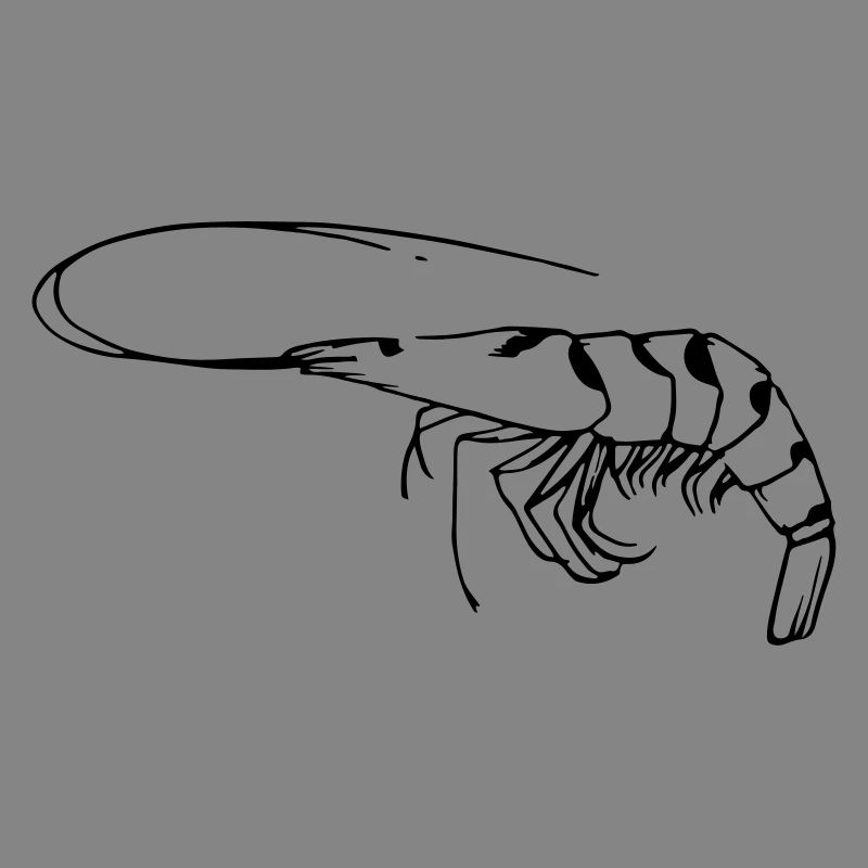 Garnele