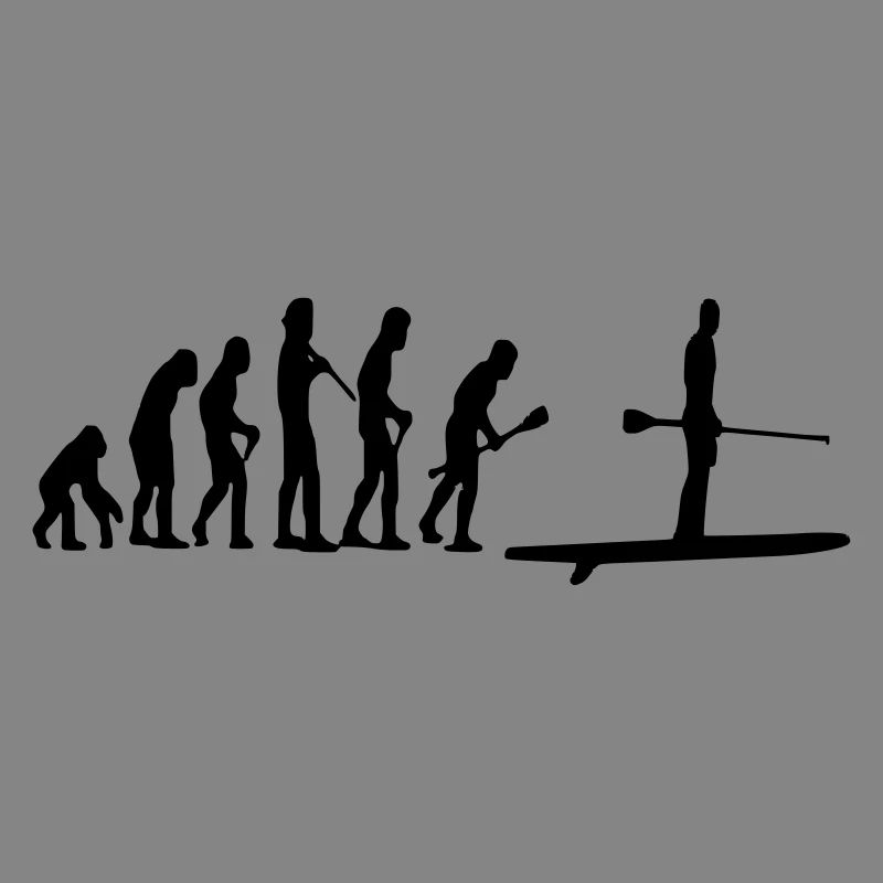 Paddle Evolution