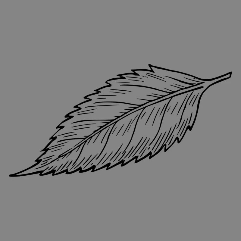 sheet