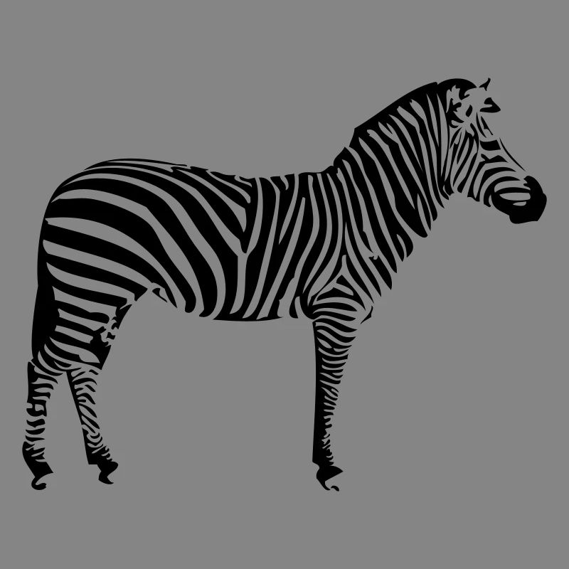 Zebra 1