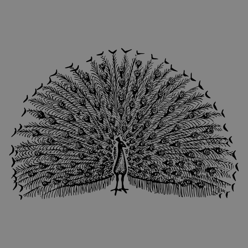 Pfau