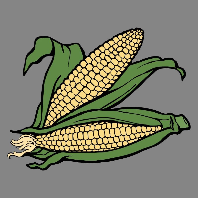 corn corn maize cereal veggie vegetables vegetables