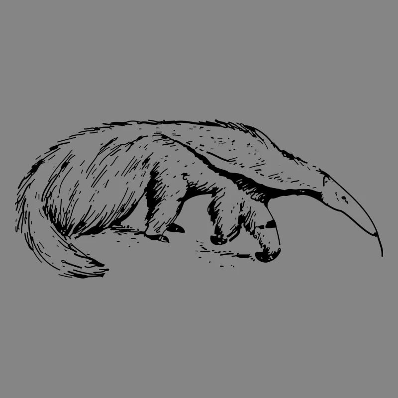 ant-eater