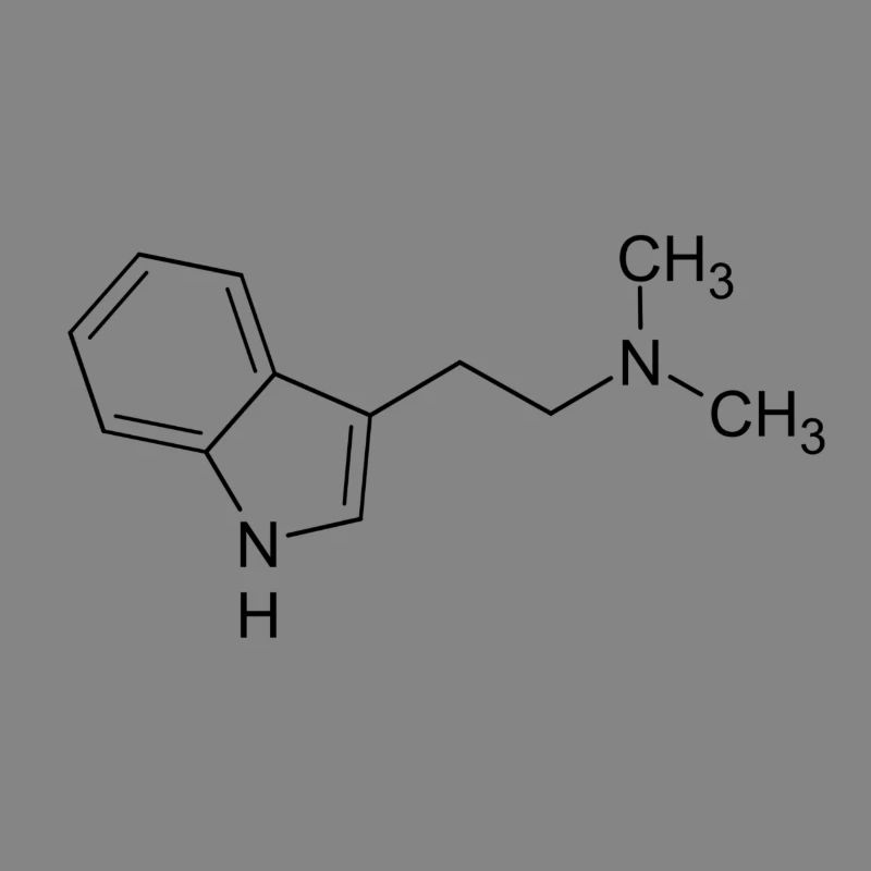 DMT dimethyltryptamine structural formula