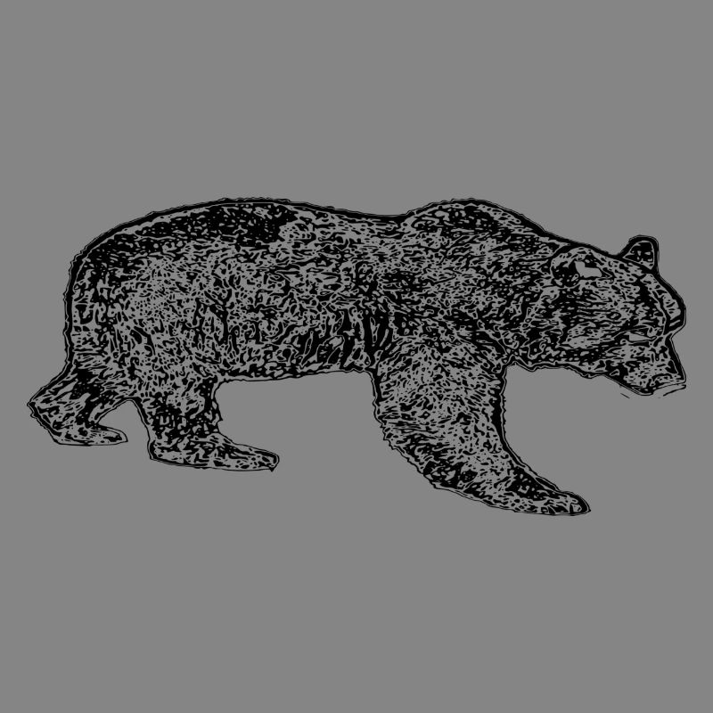 Bär