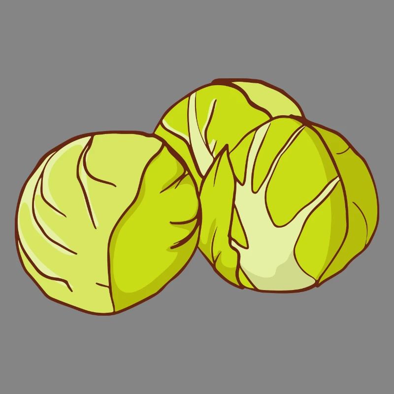 Brussels sprouts Brussels cabbage sprouts cabbage sprouts