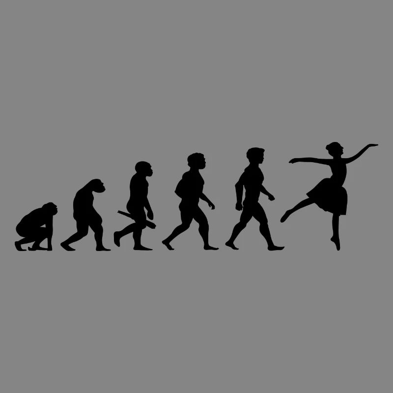 Evolution Ballerina Ballet Danse Danseuse Danse