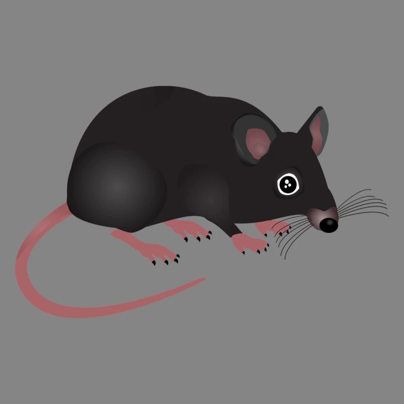rat