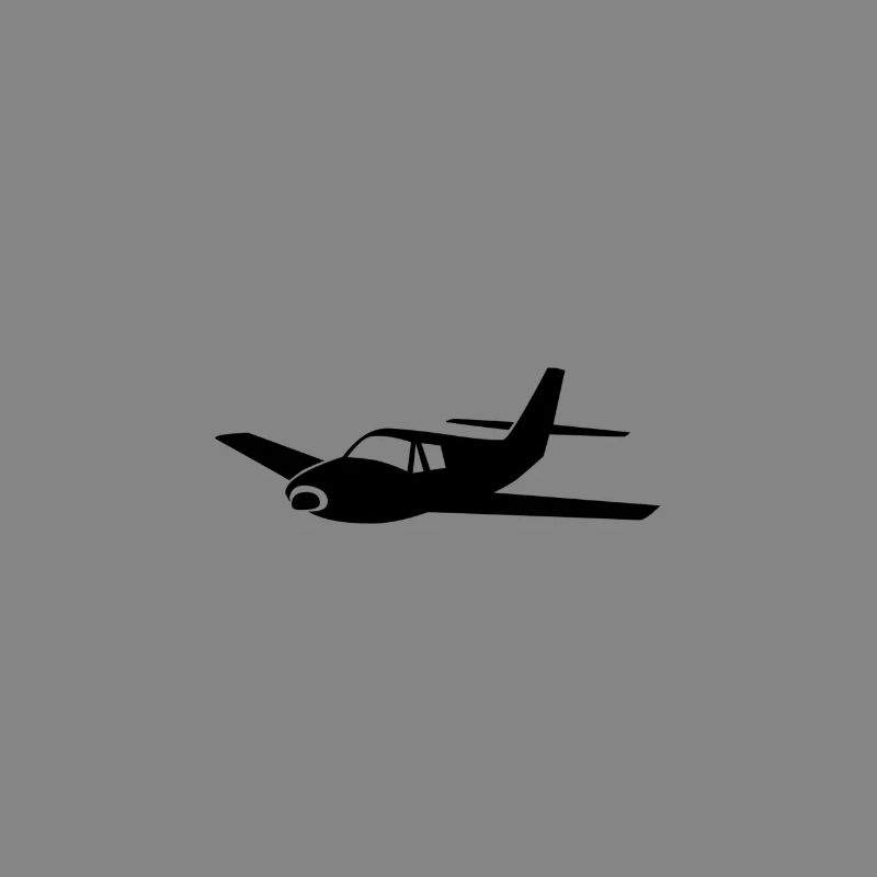 Flugzeug