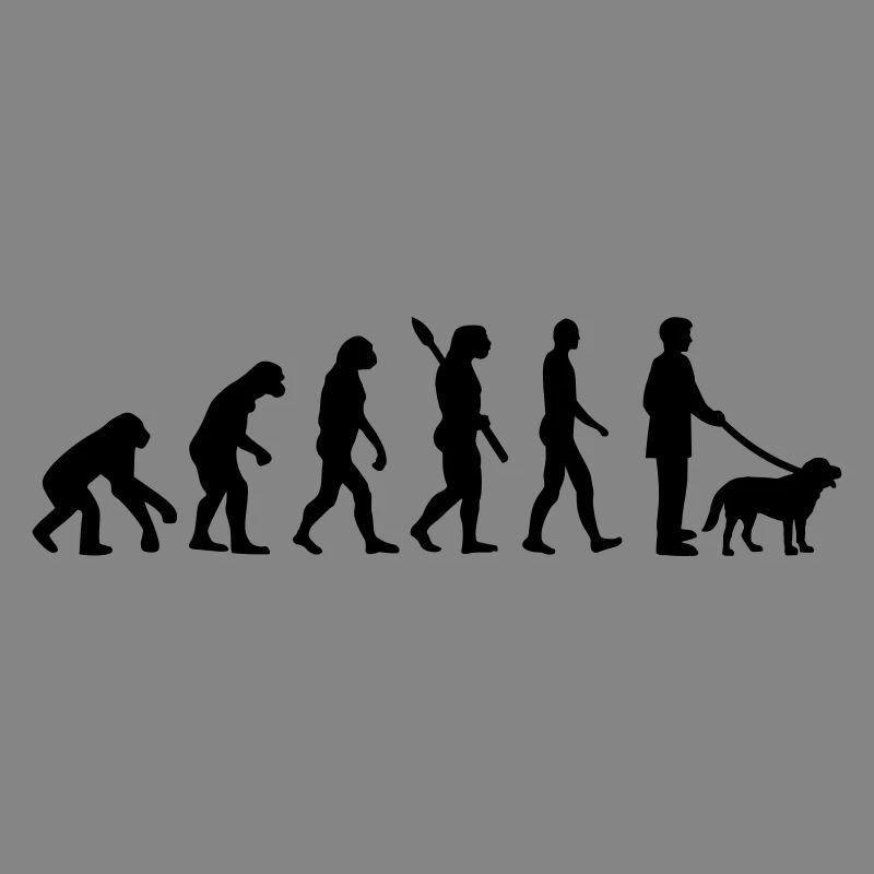 Évolution Chien