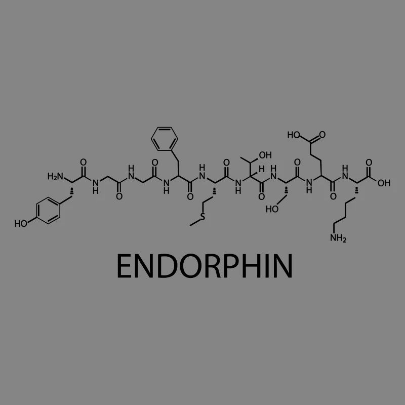 endorphine
