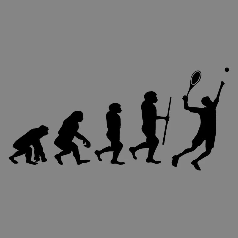 Tennis Evolution Badminton