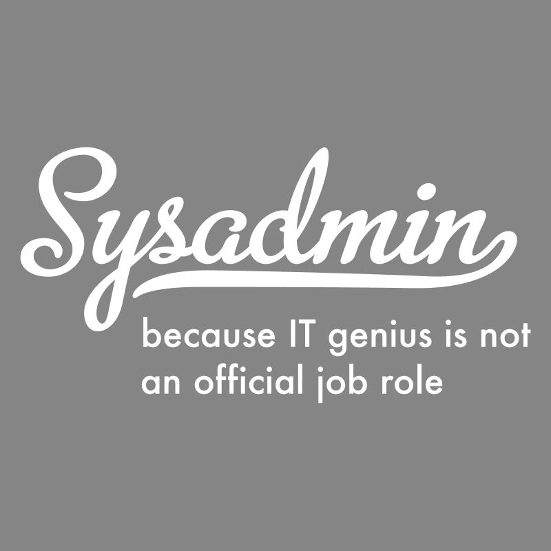 Administrateur système